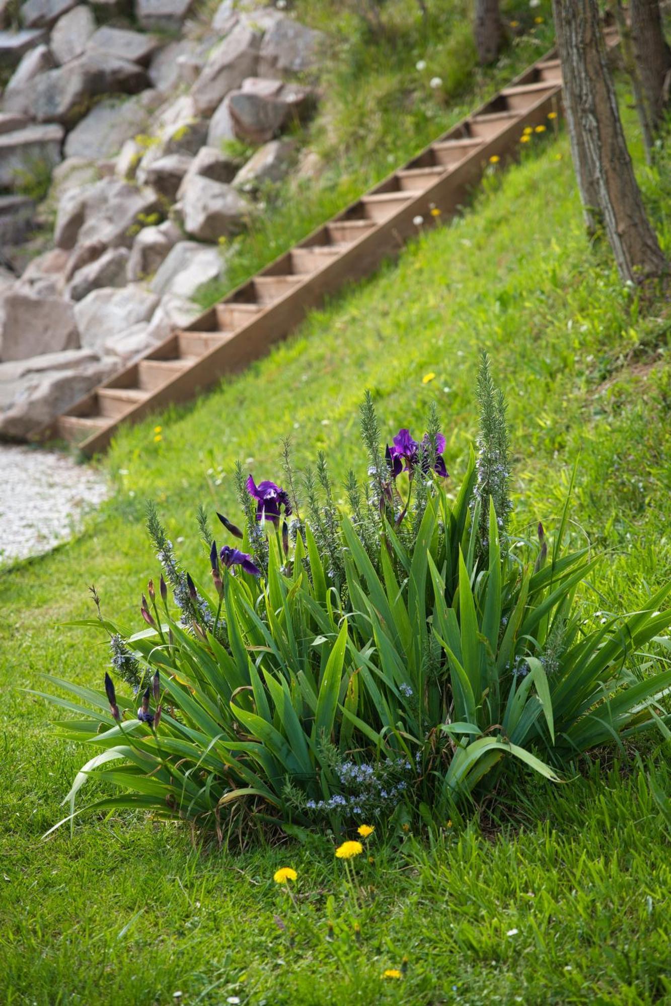 Appartamento Domaine Des Rigaud Garchizy Esterno foto